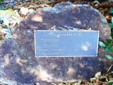 image of grave number 619123